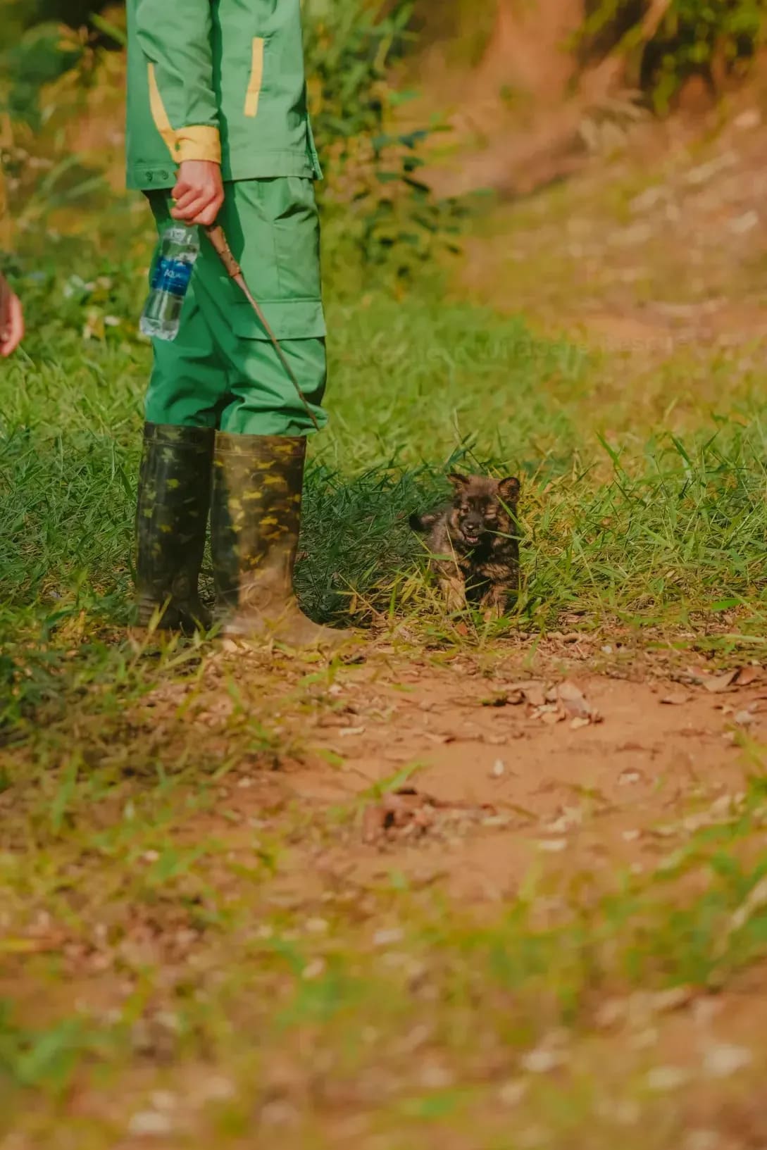Northern WildCare Rescue 15